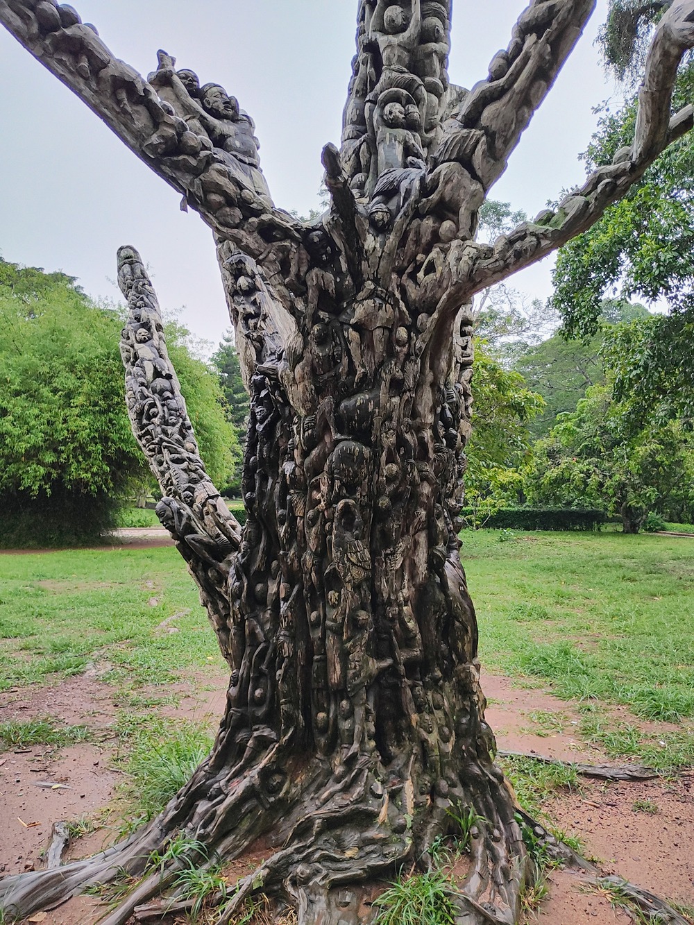 Aburi-Botanical-Gardens-tree-carvings-v1-COMPRESSED