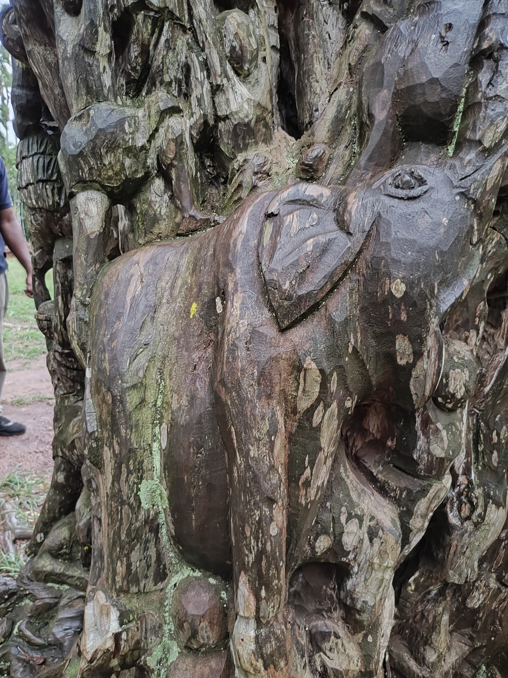 Aburi-Botanical-Gardens-tree-carvings-v3-COMPRESSED