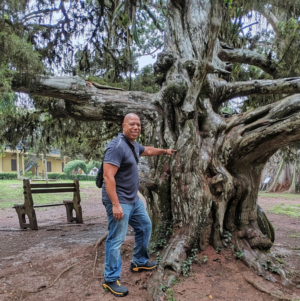 Kevin-Aburi-Garden-touching-tree-COMPRESSED